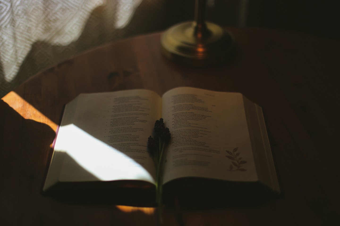 Lila Blume in einem offenen Buch auf einem Holztisch.